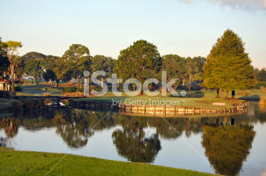 stock-photo-14814865-golf-green-in-orlando-florida